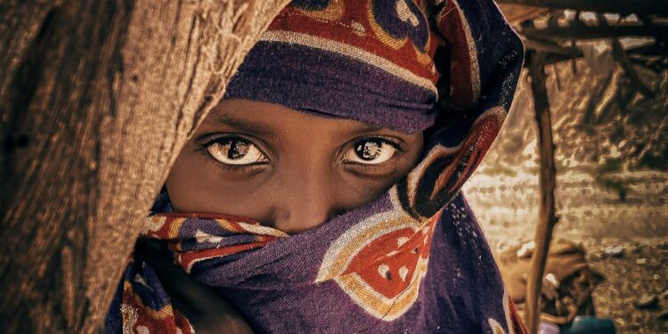 Four Bulldogs Collect College Sports Communicators Academic All-District® Honors to Set Program Record – UNC Asheville Athletics