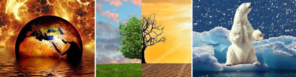 This Is Who’s Causing Global Warming, According to Science – VICE