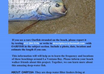 I took 2 of the longest economy flights of my life on Qatar Airways and Ethiopian Airlines. I’d book only one again. – Business Insider