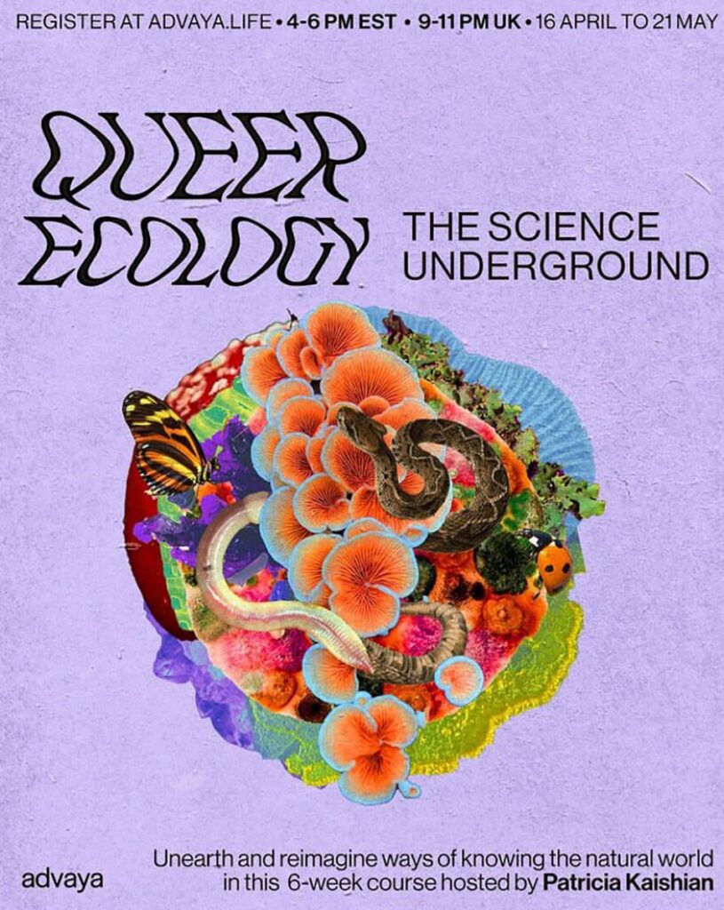 All Ecology Is Queer – Orion Magazine