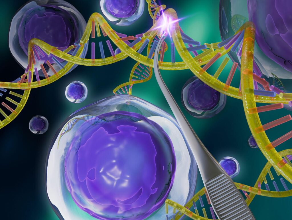 Experimental gene editing helped a desperately ill baby thrive. Scientists say it could someday treat millions – PBS