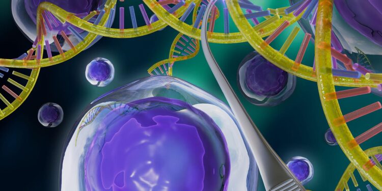 Experimental gene editing helped a desperately ill baby thrive. Scientists say it could someday treat millions – PBS