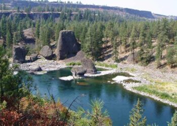 Spokane River conservation efforts are paying off, the Department of Ecology reports – KXLY.com