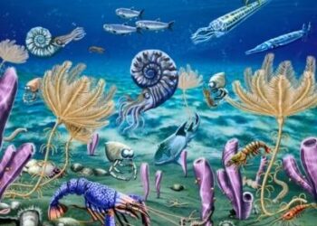 Is there life after extinction? Some Bay Area scientists and conservationists are trying to find out – The Mercury News