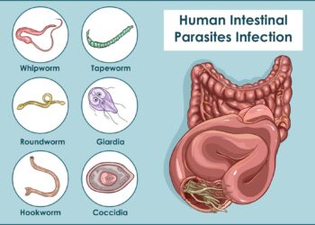 Common Parasite Rips The Face From Your Cells to Wear as a Disguise – ScienceAlert
