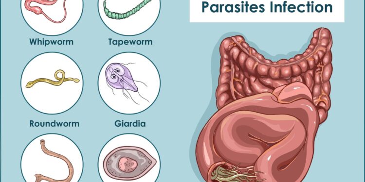Common Parasite Rips The Face From Your Cells to Wear as a Disguise – ScienceAlert
