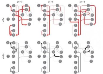Scientists Recreated The Ancient Chemical Reactions That May Have Sparked Life – ScienceAlert