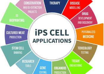 Cellino’s iPSC Manufacturing Technology Receives FDA Advanced Manufacturing Technology (AMT) Designation – Business Wire