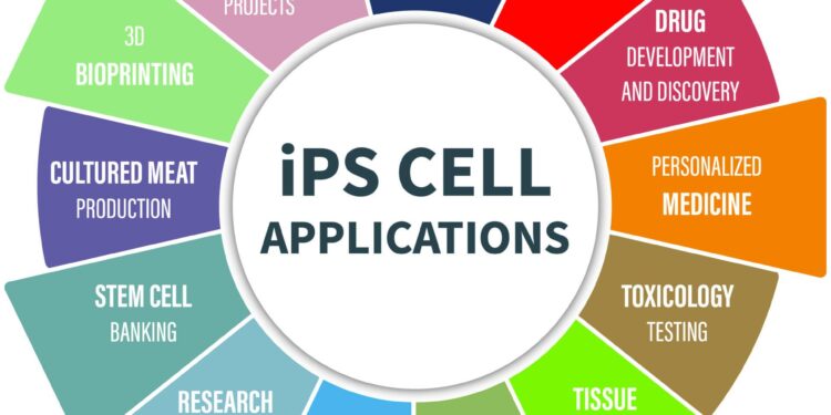 Cellino’s iPSC Manufacturing Technology Receives FDA Advanced Manufacturing Technology (AMT) Designation – Business Wire
