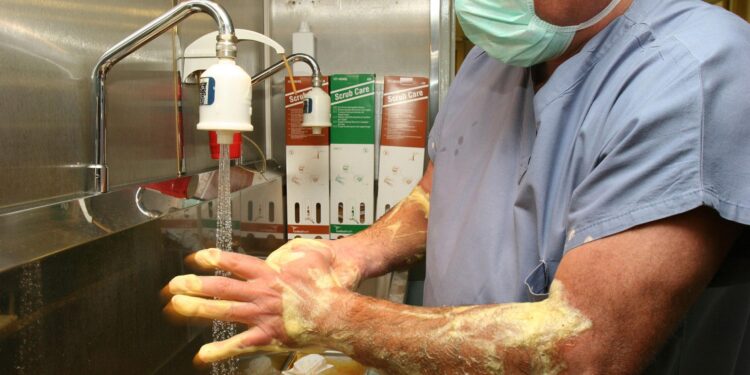 Hospital superbug can feed on medical plastic, first-of-its-kind study reveals – Live Science