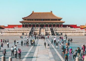 China to give $500 million to WHO in next 5 years, official says – Reuters