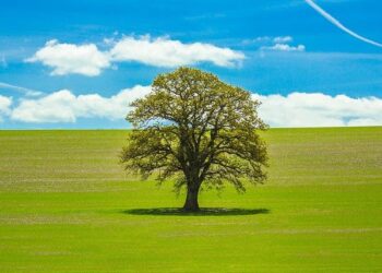 🧪 Science with Sarah: Cloud in a jar ☁️ – KSAT