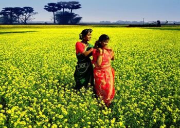 The Politics of Belligerence Are Back in Bangladesh – Bloomberg.com