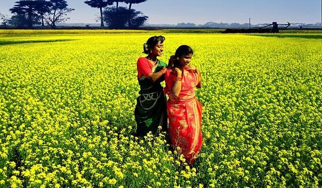 The Politics of Belligerence Are Back in Bangladesh – Bloomberg.com