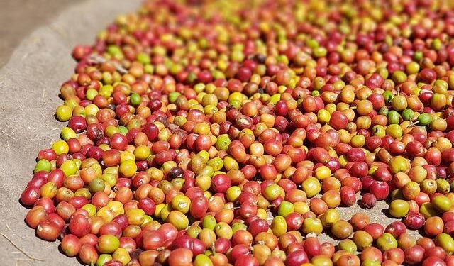 Auditory Processing and Psychosocial Improvements with Remote Microphone Technology: An Evidence Review – The Hearing Review