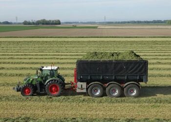 Bored with manicured lawns, some homeowners adopt No Mow May all year long – AP News