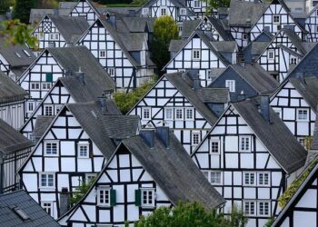 Entertainment this Week: Public Tours at Science Center, Wildflower walk and more! – Sierra Sun