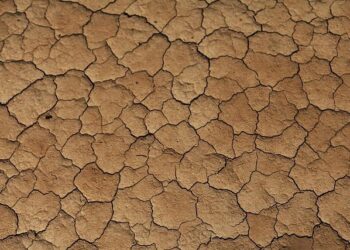 Droughts are major threat to Eurozone economy, warns ECB – Financial Times