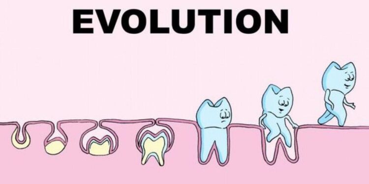 Our teeth evolved from fish ‘body armor’ over 460 million years, scientists discover – Live Science