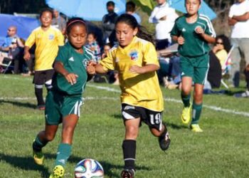 Youth Recreational Sports League Providers Needed in Dundee, Poinciana and Wahneta – Polk County Government