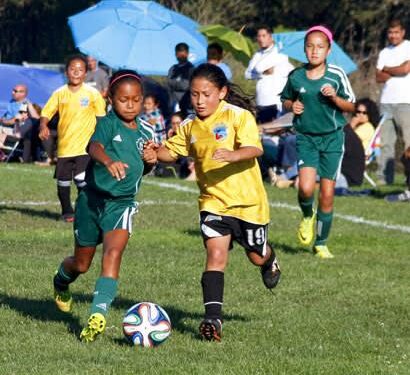Youth Recreational Sports League Providers Needed in Dundee, Poinciana and Wahneta – Polk County Government