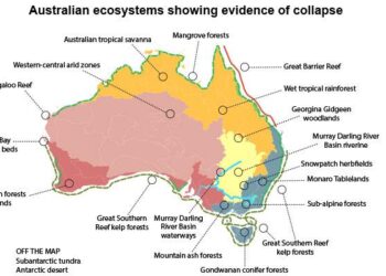 Two Artists Capture Australia’s Ecology in a Bird – Hyperallergic