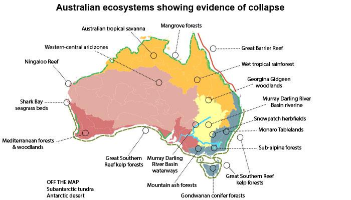 Two Artists Capture Australia’s Ecology in a Bird – Hyperallergic