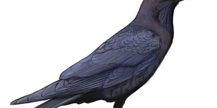 Raven’s R&B science fiction evokes a San Francisco that still could be – 48 Hills