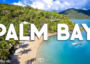 Palm Bay announces return of “World’s Largest Swimming Lesson” event – WFTV