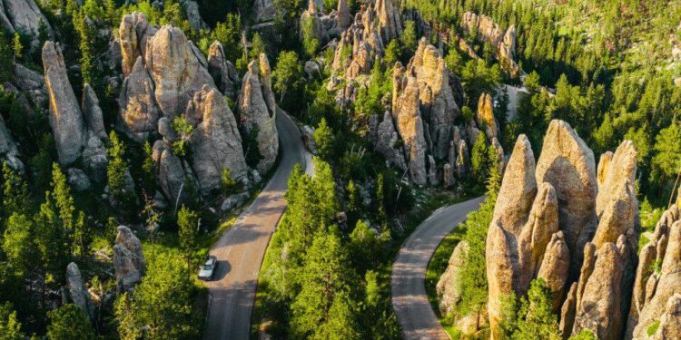 SD state worker promoted to lead Bureau of Information and Technology and its $88 million budget – South Dakota Searchlight