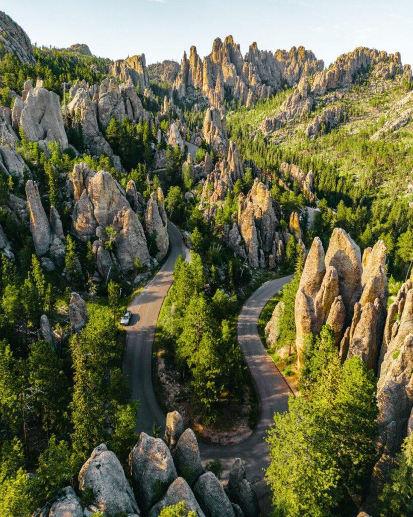SD state worker promoted to lead Bureau of Information and Technology and its $88 million budget – South Dakota Searchlight