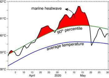 Marine heat waves pose problems for coastal plankton – Phys.org