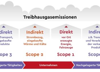 SBTi validates Shein’s net zero science-based target by 2050 – Retail Insight Network