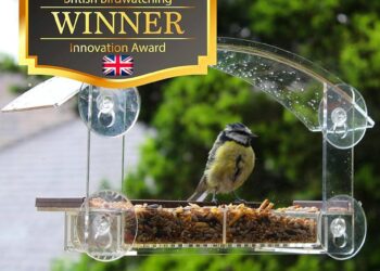 Bird feeders have caused a dramatic evolution of California hummingbirds – Science | AAAS