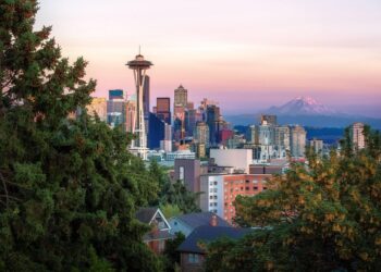 Issues & problems in Puget Sound – Washington State Department of Ecology (.gov)