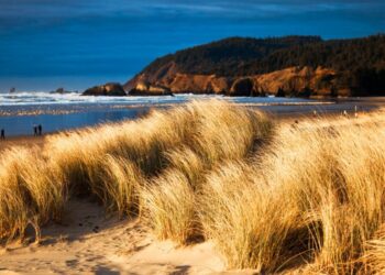 Oregon vs. Ole Miss: 2025 Women’s College World Series Game 6 | Extended highlights – NCAA.com