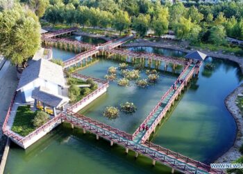 Upgrades coming to ecological park in Sunbury – WNEP