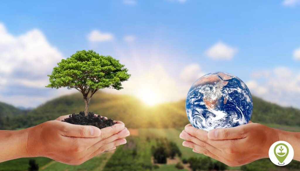 Conservation | Definition, Ecology, Examples, & Facts – Britannica