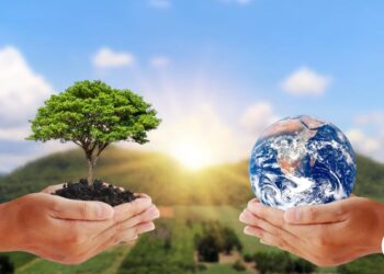 Conservation | Definition, Ecology, Examples, & Facts – Britannica