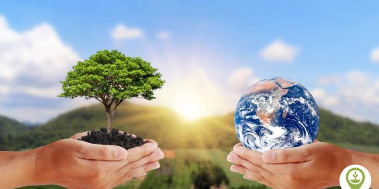 Conservation | Definition, Ecology, Examples, & Facts – Britannica