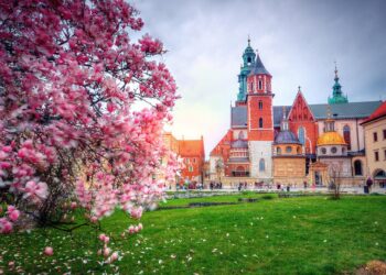 Opinion | Poland Just Sent an Ominous Signal to the World – The New York Times