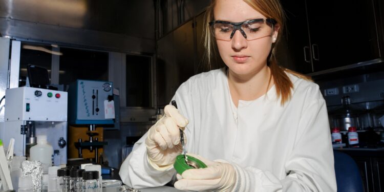 The Uncertain and Shifting Future of Ph.D.s in Science – Undark Magazine