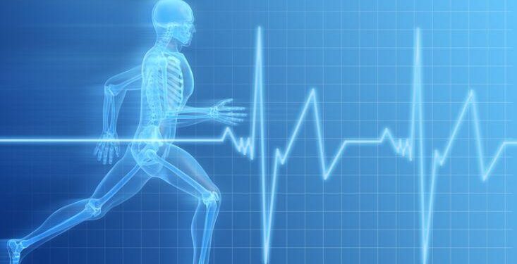 ‘Sport Science’ founder, host John Brenkus dies at 54 – USA Today