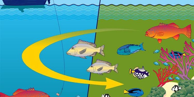 From Eggs To Fingerlings, Wyoming Students Dive Into The World Of Fish Conservation – KGAB