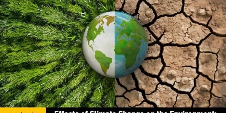 Science Perspectives to Inform the ICJ Advisory Opinion on Climate Change – SDG Knowledge Hub