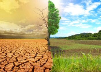 Ecological crisis in Brazil’s Pantanal fuels human-jaguar conflict – Mongabay