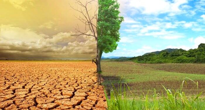 Ecological crisis in Brazil’s Pantanal fuels human-jaguar conflict – Mongabay