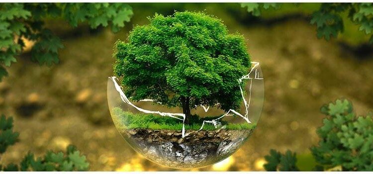 The Ecology of Visitation – National Park Service (.gov)