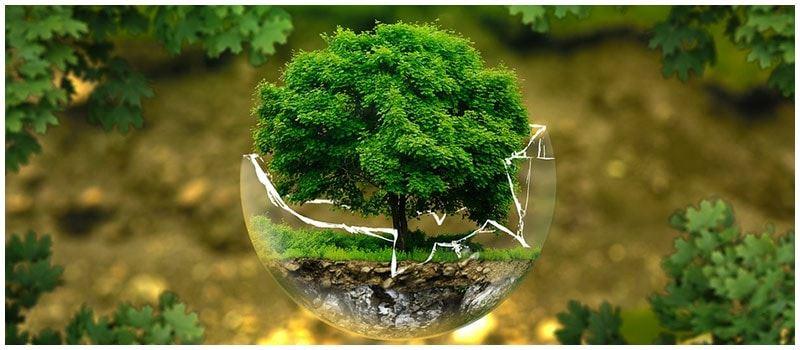 The Ecology of Visitation – National Park Service (.gov)