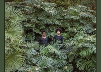 Art meets ecology in the outback – UNSW Sydney